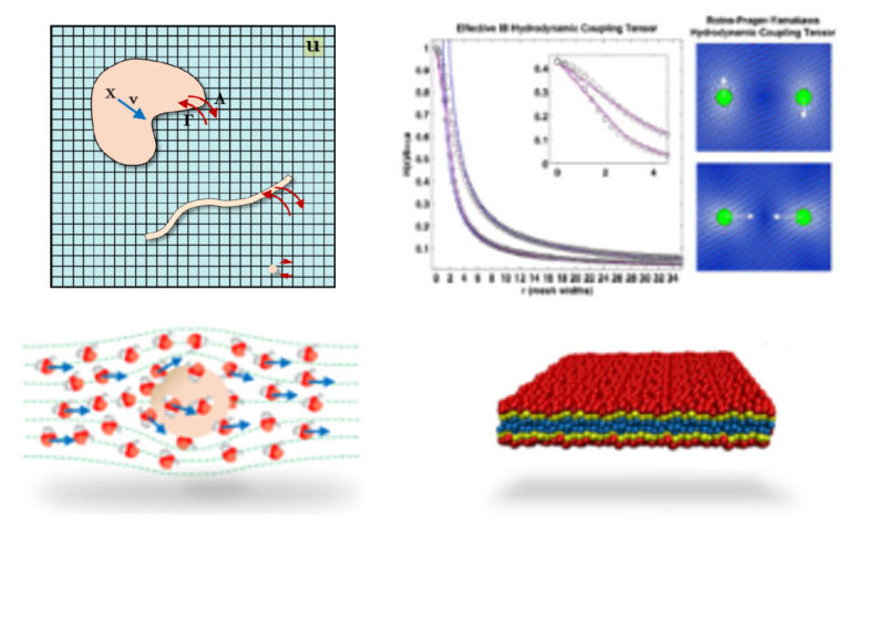 hydrodynamics collection