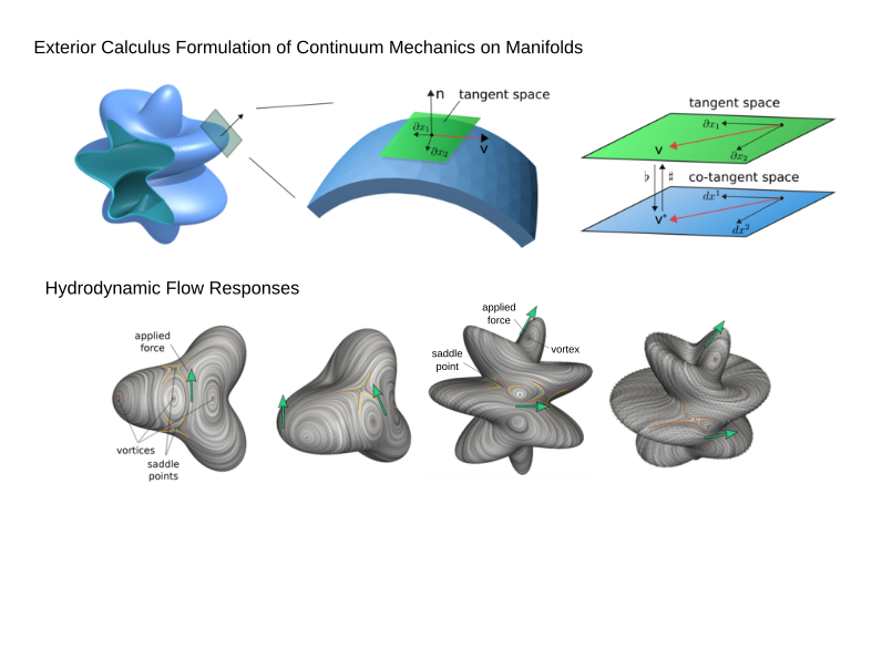 hydrodynamics
