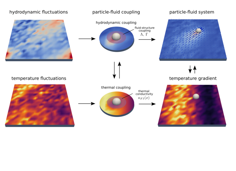 non-equilibrium systems